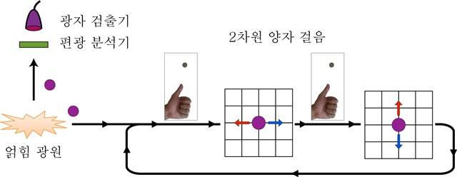 광자 이용 '2차원 양자걸음' 실험적 구현 성공