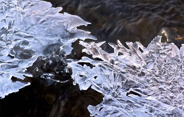 겨울 이야기를 나누는 얼음들. 강물 위에 만들어진 판상의 얼음 조각들은 서로 만나 겨울이야기를 나누는 듯 보였다.<Pentax K-3, 100 mm, 1/80 s, F/7.1, ISO 100> 