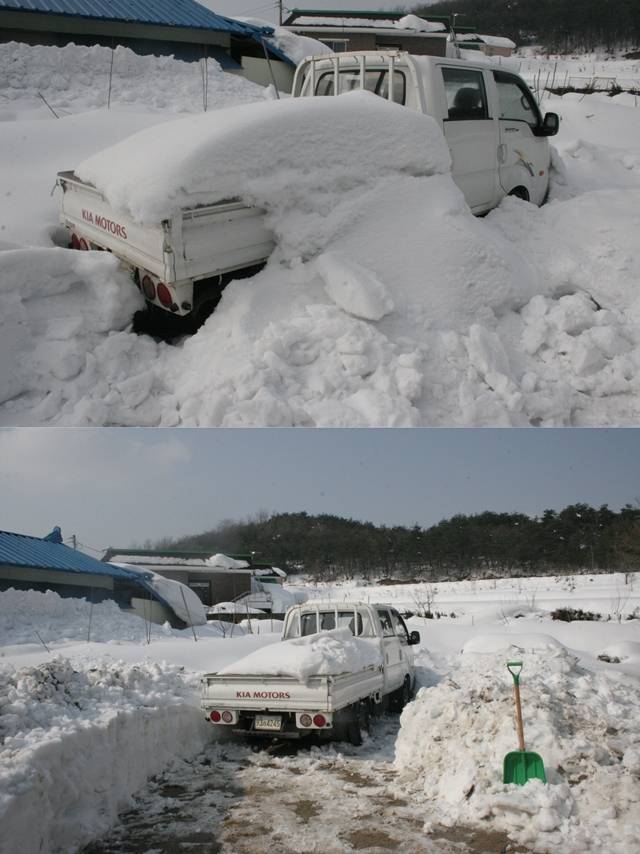 한치도 움직일 수 없던 트럭(윗 사진), 대덕인들의 흘린 땀 눈 녹여 출구 마련(아래 사진). 
