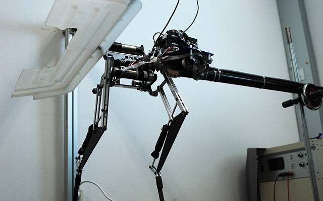 KAIST 학생들이 만든 '랩터 로봇'. 세계에서 가장 빨리 달릴 수 있는 로봇이다. 