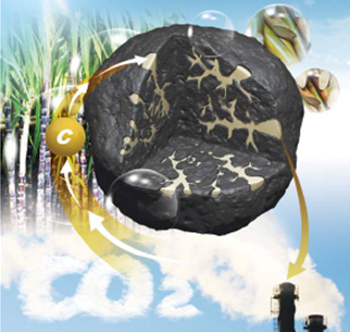 하이브리드석탄은 발전소에서 발생되는 이산화탄소를 식물이 흡수하고, 그 과정에서 생성되는 탄소 성분을 석탄의 기공내에 함침시킨 하이브리드석탄을 제조해 발전소에 공급함으로서 이산화탄소 순환이 가능한 연료. <사진=에너지기술연구원 제공> 