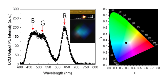 녹색과 빨간색 나노입자가 흡착된 유기발광나노선(TSDB)의 발광특성. 컬러전하결합소자(CCD) 이미지(좌), 양자점에서 나온 녹색(G) 및 빨강색(R) 발광 빛이 유기나노선에서 발생한 파란색 발광 빛(B)과 함께 나노선 축을 따라 나노선 한쪽으로부터 방출된다. 발광스펙트럼 색좌표계(우), 도파된 빛은 백색(0.281, 0.359)에 가까운 색을 낸다. 흡착되는 양자점의 종류와 농도를 조절하여 도파되는 발광 빛의 색깔을 조절할 수 있다. 
