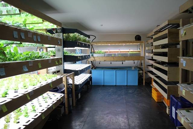 미래형 유기농 식물공장. KAIST 창업보육센터에 입주해 있는 창업벤처 '만나'에는 실제 식물이 재배되고 있다. <사진=김형석 기자> 
