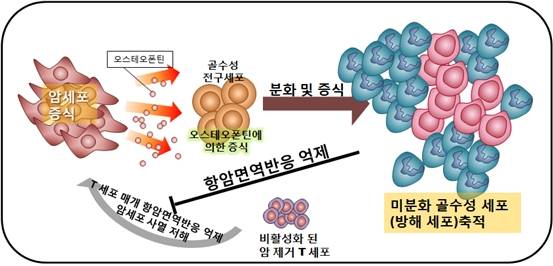 면역항암치료의 필요성과 효과적인 치료방법