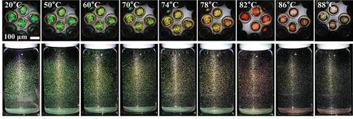 온도에 따른 액정 마이크로캡슐의 색상 변화.<사진=화학연> 