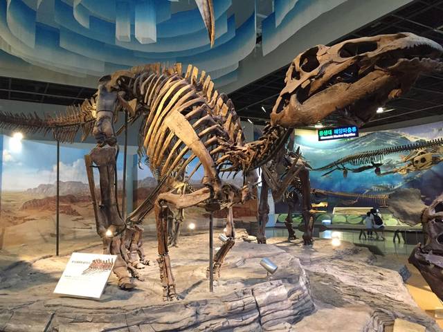 에드몬토사우루스 공룡뼈 화석. 가운데 보철이 뼈 화석을 지탱하고 있는 것으로 '진품'임을 확인할 수 있다고 김 관장은 설명했다.<사진=대덕넷> 
