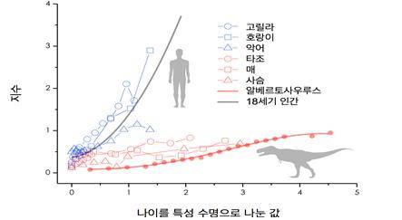 티라노사우루스 생존률을 분석한 결과 고릴라, 호랑이, 악어, 18세기 인간과 매우 다르며, 타조, 매 등의 몸집이 큰 새와 매우 유사하다는 것을 밝혔다. <사진=연구팀 제공> 