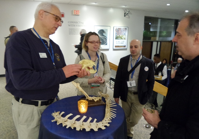 치타의 뼈를 갖고 유연성을 설명해주는 스미소니안 동물원 담당자.<사진=이석봉 기자>