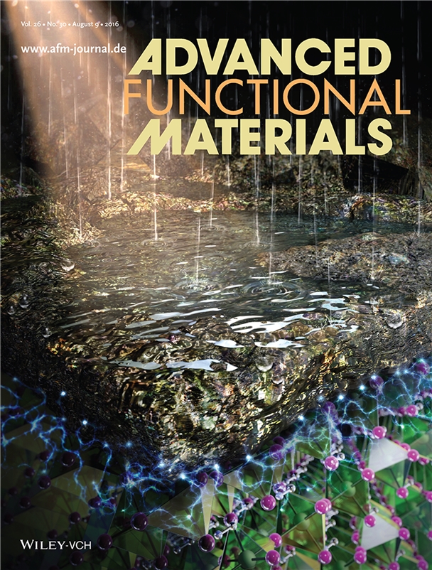 연구결과는 재료 분야의 전문학술지인 'Advanced Functional Materials' 9일자 표지논문으로 게재됐다.<사진=KIST 제공>