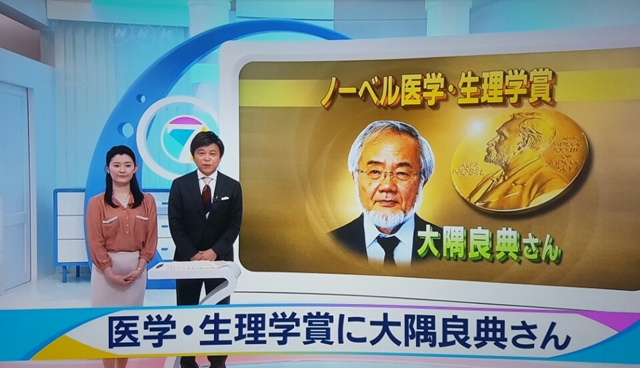 일본 NHK 방송 캡쳐.<사진=대덕넷>