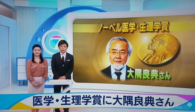 일본이 2년 연속 노벨생리의학상 수상자를 배출했다. 사진은 일본 NHK 방송 캡쳐.<사진=대덕넷> 