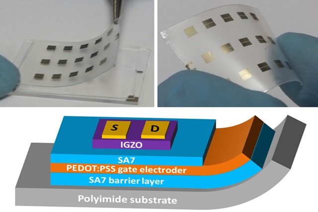 폴리이미드 기반 유연 IGZO 트랜지스터의 단면도. 폴리이미드 위에 제작한 IGZO-TFT는 물리적으로 약하게 접촉하고 있어 PDMS/glass substrate로부터 쉽게 분리가 가능하다.<사진=GIST 제공>