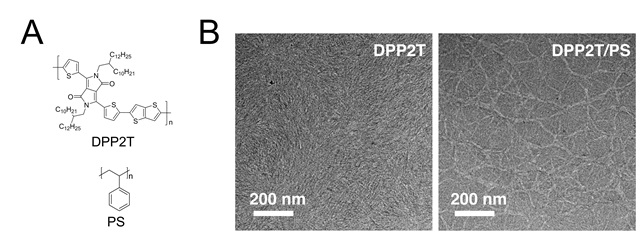  (A) DPP2T와 PS의 분자구조 (B) 순수한 DPP2T 박막과 DPP2T·PS 박막의 투과전자현미경 사진.<사진=GIST 제공>