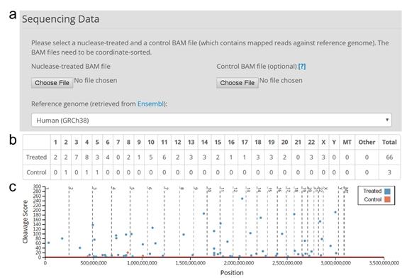 크리스퍼 유전자가위 정확도 분석웹 툴(Tool) 개요. (a)와 같이 유전체 데이터를 웹 프로그램에 업로드하면 (b)와 (c)처럼 인간의 각 염색체마다의 오작동 수와 위치를 표와 그래프로 확인할 수 있다.<사진=한양대학교 제공>