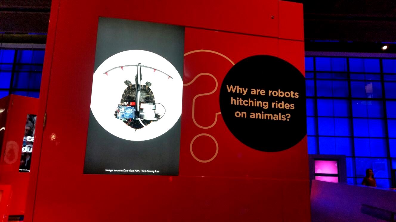 영국 과학박물관에서 기생로봇을 소개하는 세션이 마련됐다. 기생로봇이 부착된 거북 사진과 함께 "왜 로봇이 동물에 탔을까?"라는 문구가 보인다. <사진=김대건 제공>