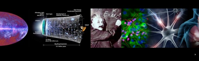 박문호의 자연과학 세상 사이트 이미지, 우주부터 상대성 이론, 세포까지 빅히스토리 내용을 담고 있다.<사진=박문호의 자연과학 세상>