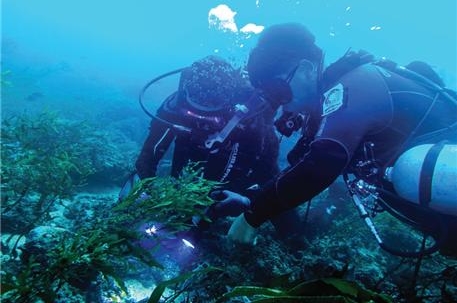 국립해양생물자원관 조사단이 공동발굴 조사를 위해 추자도 해역을 사전 답사하고 있다.<사진=국립해양생물자원관 제공>