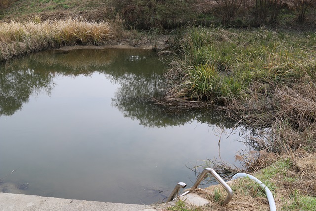 대전 유성구 관평천 유수지. 이 유수지 주변에 빗물 통합관리시스템이 구현됐다.<사진=강민구 기자>