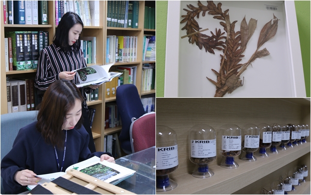 17일 센터를 방문했을 당시, 학생들은 해외로부터 들어온 표본에 관계된 식물 정보를 찾는 중이었다. <사진=윤병철 기자>