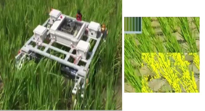 그리노이드가 지난해 개발한 다리로 걷는 족형 구조의 농업용 로봇(왼쪽), 기상·토질·작물 데이터를 인식해 과학화 농법으로 활용한다(오른쪽).<사진=그리노이드 제공> 