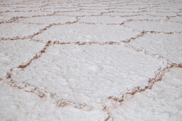 오각형, 육각형의 모습을 하고 있는 우유니 소금사막의 결정들.<사진='박자세' 제공>