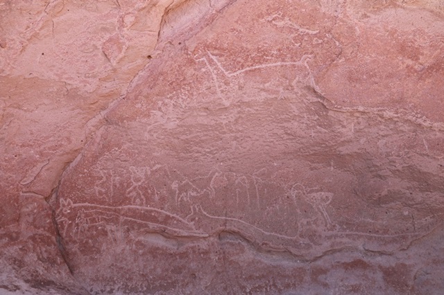 바위에 낙타, 조류, 원숭이, 개등의 그림이 그려져 있다.<사진='박자세' 제공>