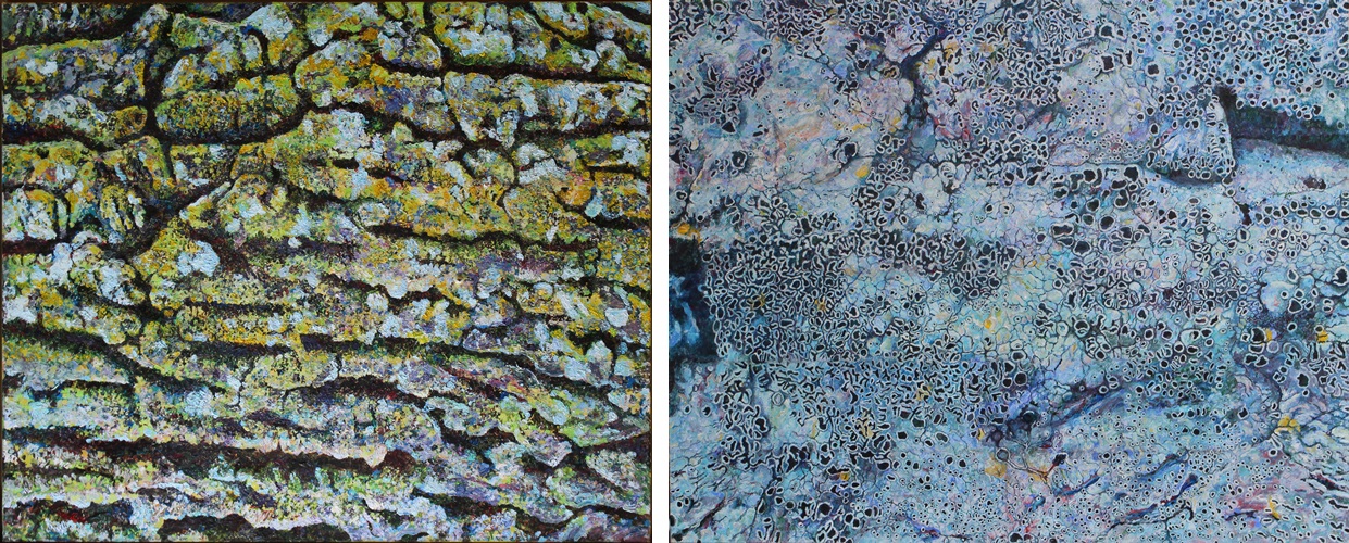 왼쪽은 미국 럿거스 대학교의 지의류. 미국의 대학은 자연을 잘 보존하고 가꾸기 때문에 몇백 년 된 나무를 쉽게 볼 수 있다. 이 작품 속 지의류는 오크나무로 보이는 나무의 줄기에서 자라고 있었다.(AE-L Rutgers대, 2017, acrylic and sand on canvas, 72.5x60.5 cm) 오른쪽은 거제도 '바람의 언덕' 바위 위의 지의류. 해풍에 머금은 물기, 신선한 바람, 햇살은 지의류에게 더없이 좋은 생육 환경이다. 바람을 마시고 햇살을 쬐었을 때 느낄 수 있는 아름다움을 지의류가 보여주는 듯하다.(AE-L 거제도, 2016, acrylic and sand on canvas, 91x72 cm) <사진=김순선 작가>