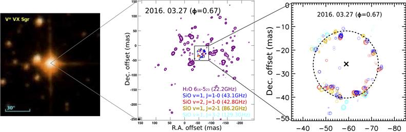 초거성 'VX Sgr' 중심별 주변에서 발생하는 22 GHz 물(H2O) 메이저와 43·42·86·129 GHz 일산화 규소 메이저에 대한 KVN 동시관측 영상.(2016년 3월 관측)<사진=한국천문연구원 제공>