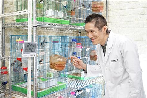 고지마 사토시 한국뇌연구원 박사가 명금류 사육실에서 어린 금화조 새를 관찰하고 있다.<사진=한국뇌연구원 제공>