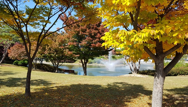 KAIST 오리연못 인근. 가을 나들이 하기에도 좋은 날씨다.<사진=대덕넷>