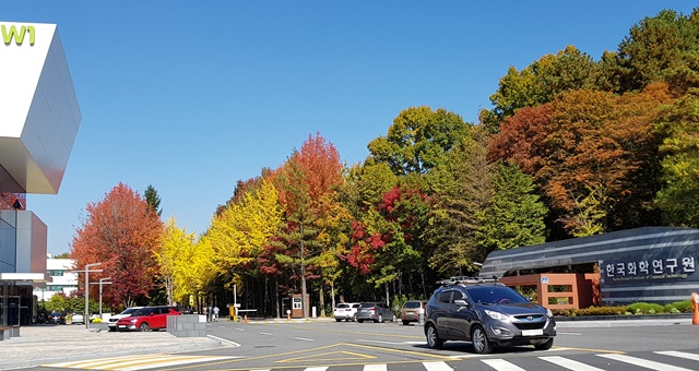 한국화학연구원 정문 앞에서도 가을의 정취를 확인할 수 있다.<사진=대덕넷>