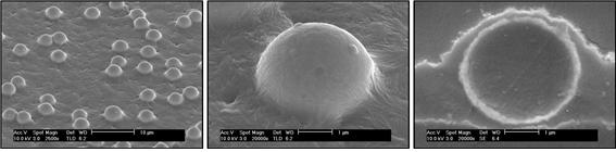 극미세피치용 이방성 전도필름의 전자 현미경 사진.<사진=KAIST 제공>