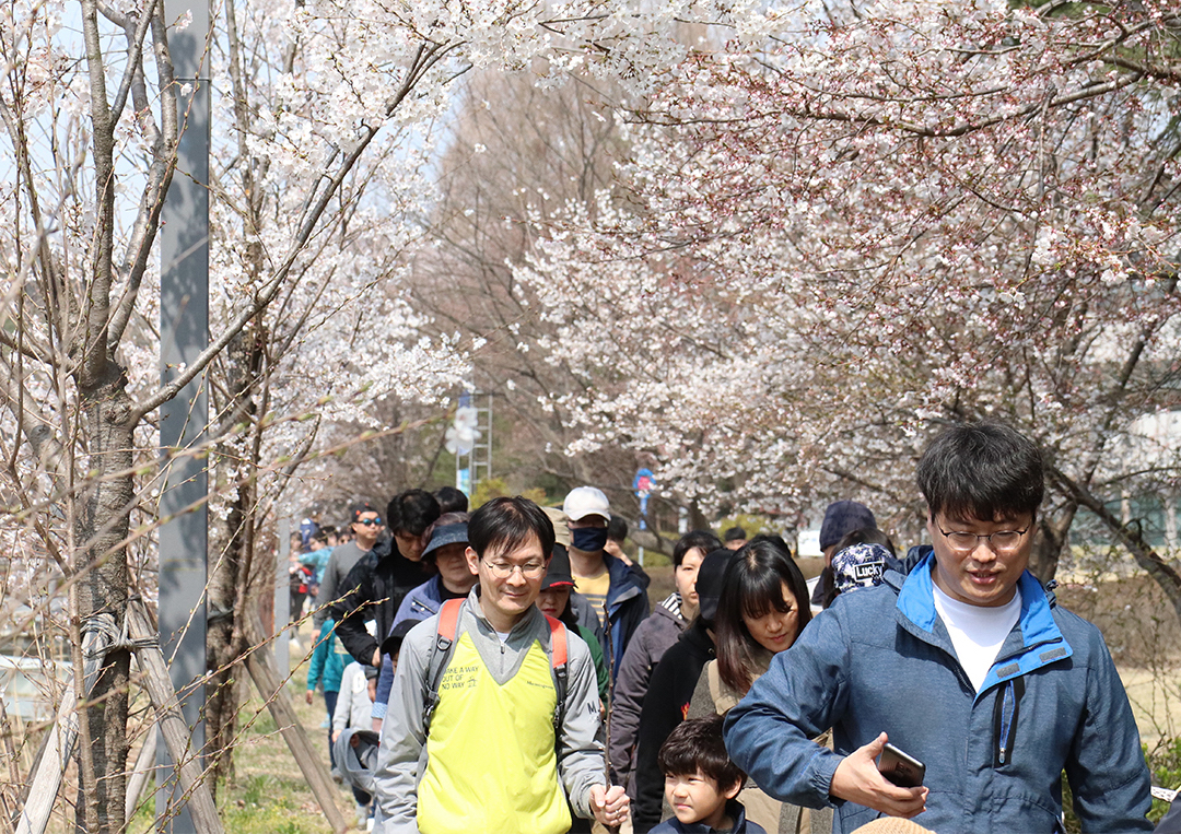 2019 과학 어울림마당 걷기대회가 열린 6일은 화창한 봄날씨가 참가자들을 반겼다. <사진=김인한 기자>