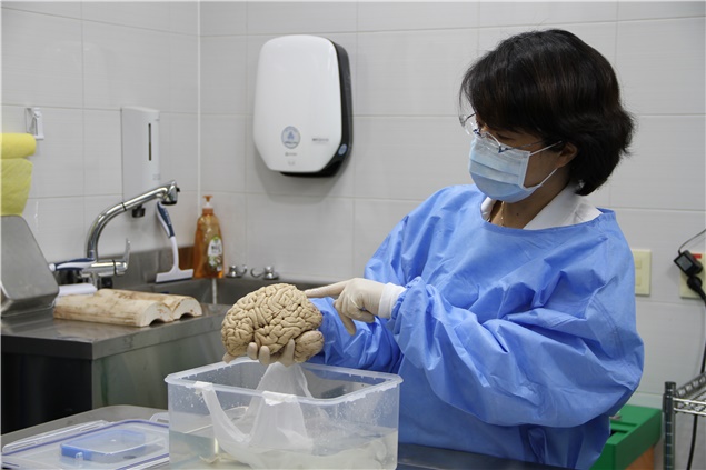 뇌질환 연구를 위해 뇌를 기증한 사례가 100여건을 넘어섰다. 뇌질환 조기진단과 치료법 연구 등에 활용될 예정이다. <사진=한국뇌연구원 제공>