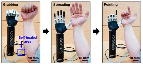 KIST 연구팀이 개발한 신축성, 전도성, 자가 치유성이 높아 인간-로봇 간 인터커넥트로 작용해 인간의 팔 움직임을 로봇 팔에게 전달할 수 있다.<사진= KIST> 