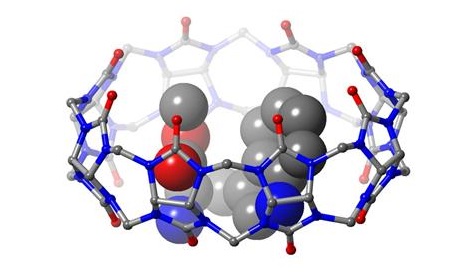 트립토판 유도체와 쿠커비투릴[8] 분자가 결합한 결정 구조. 파랑색을 질소, 빨강색은 산소, 회색은 탄소를 나타낸다. <그림=IBS 제공>