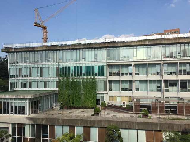 서울대학교 35동에 설치된 실내온도 저감을 위한 자연친화적 옥상 커튼.<사진=서울대 빗물연구센터>