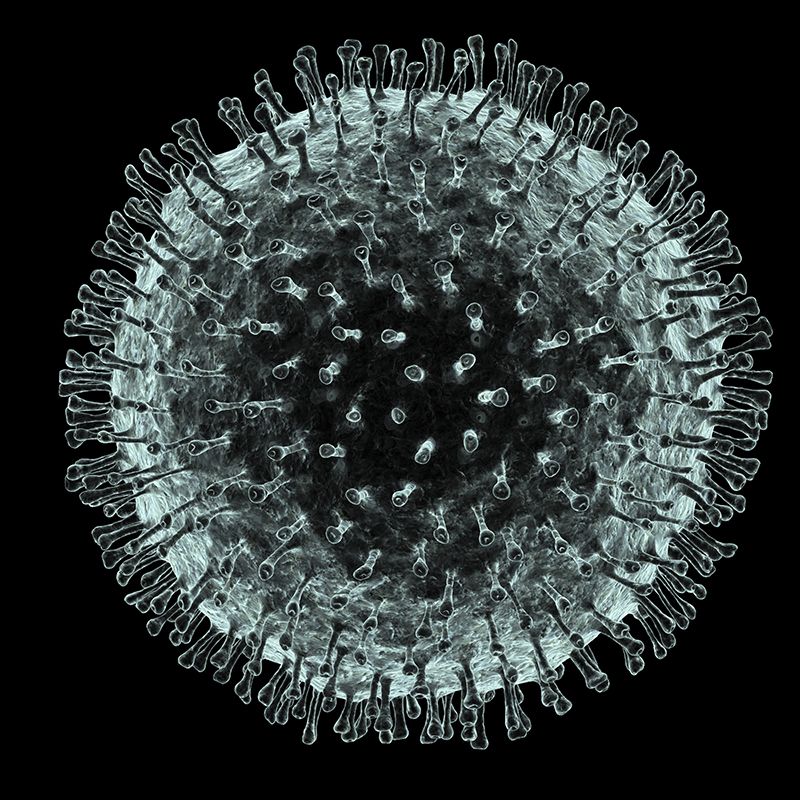 중국 후베이성 우한에서 발병한 신종 코로나바이러스는 현미경으로 관찰했을 때 코로나(달그림자가 태양을 가릴 때 태양 주위에 생기는 엷은 빛) 모양이라 생긴 명칭이다. <사진=Nature>