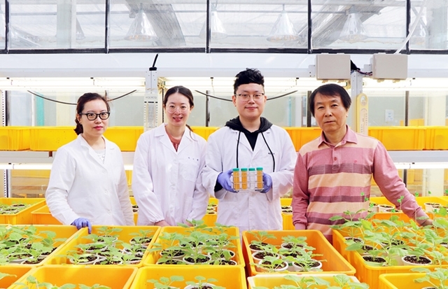 환인환 교수팀은 바이오앱과 함께 식물을 이용한 바이러스 항원 생산 시스템 구축에 성공했다.<사진=POSTECH 제공>