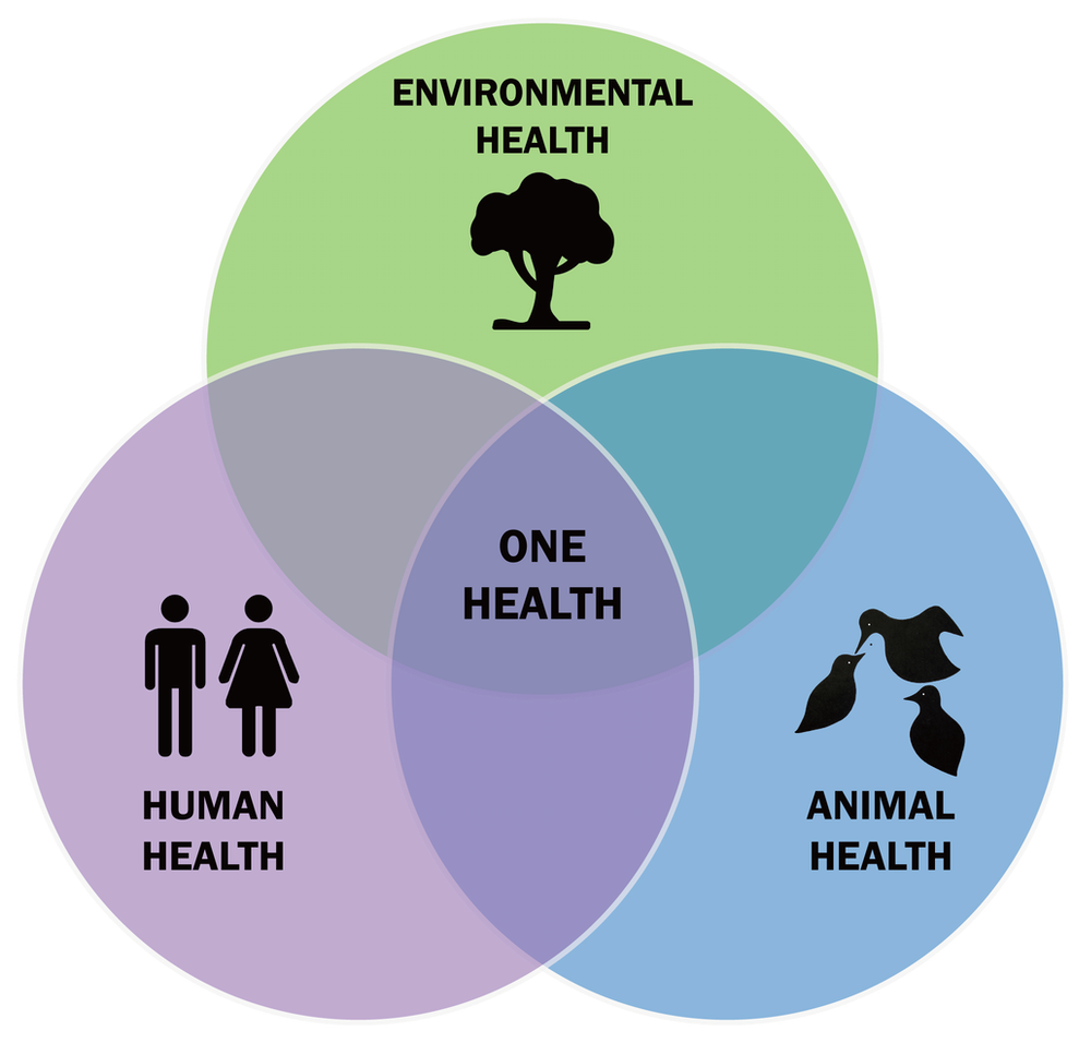세계보건기구는 환경과 생물다양성을 고려하는 '하나의 건강'을 제시한다. <사진=브릭 제공(더 컨버세이션 발췌)>