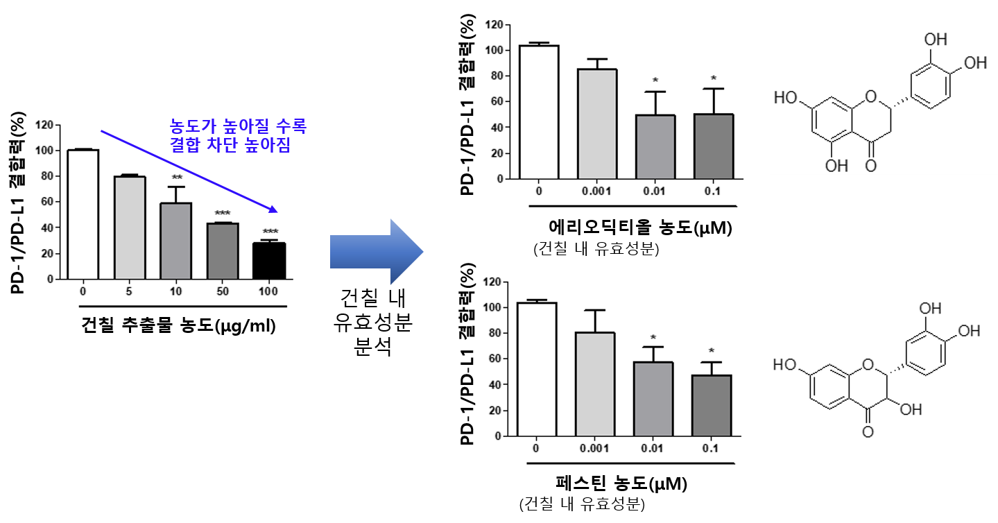 건칠 성분의 면역관문 단백질(PD-1) 분자결합 저해 효과. <사진=한의학연 제공>