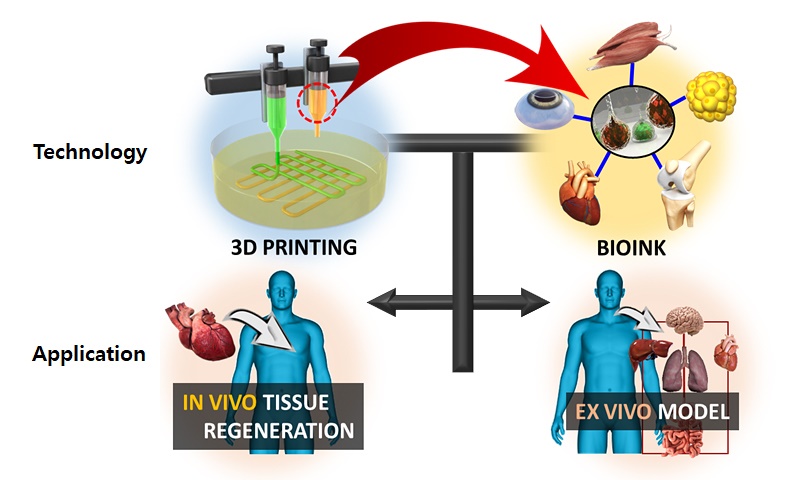 3D printin 기술 및 dECM bioink를 이용한 in vivo tissue regeneration 및 ex vivo model 개발 <이미지 = POSTECH 제공>
