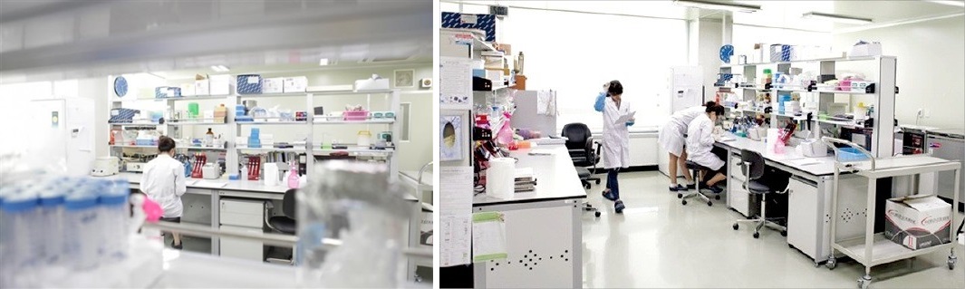 신라젠은 부산에 본사가 있으며, 양산 부산대학교병원에 유전자세포치료연구소를, 서울 여의도에 지사를 두고 있다. <사진=신라젠 제공>