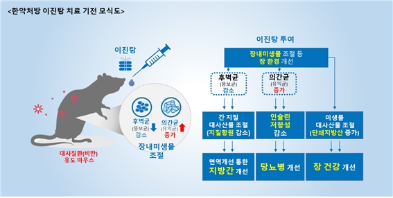 당뇨치료약 · 한약, 공복혈당낮추는법 알아보기 1