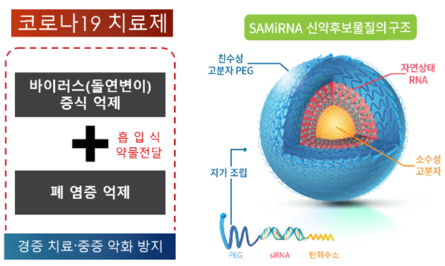 써나젠, 코로나 변이·폐 염증 치료제 후보물질 개발