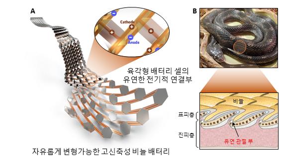 한국기계연구원 연구팀이 뱀이 비늘을 모사한 뱀 비늘형 배터리를 개발했다. 안전성과 충방전 신뢰성이 높은 것은 물론 대량생산도 가능하다.[사진= 한국기계연구원]
