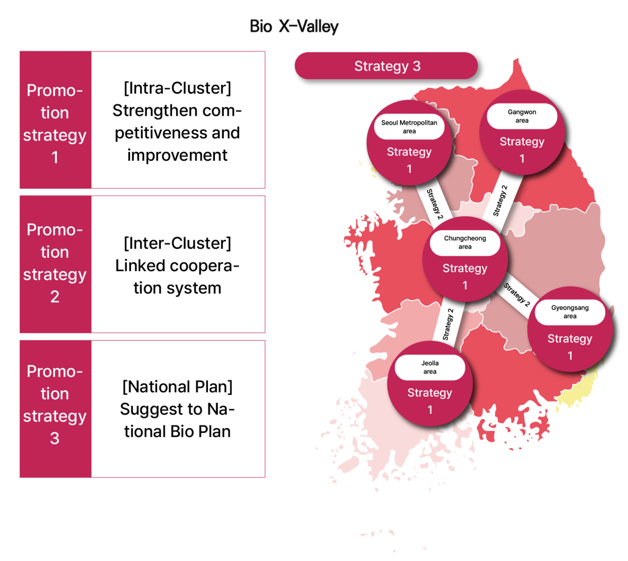 bio-clusters-from-competition-to-cooperation