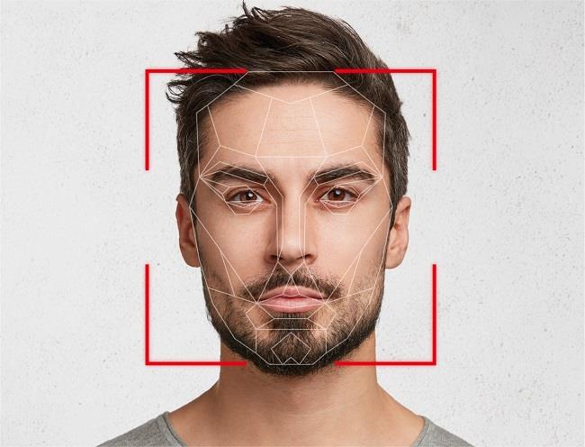 백세범 KAIST 바이오및뇌공학과 교수 연구팀이 학습을 거치지 않은 신경망에서 선천적 인지 기능이 가능한 원리를 규명했다. 이미지는 얼굴 인식을 위해 필요한 시각적 요소를 형상화한 것이다.[사진= KAIST]