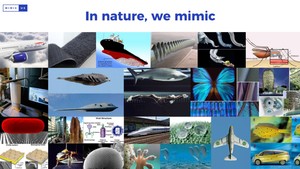 우주 진출 꿈꾸는 자연모사 왕국 '호모미미쿠스' - 뉴스 썸네일 이미지