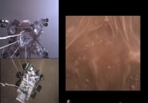 지속성, 최초의 화성 바람 소리 및 지구 착륙 비디오